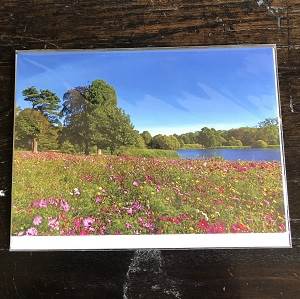 Hever Castle Meadow Flowers Greeting Card